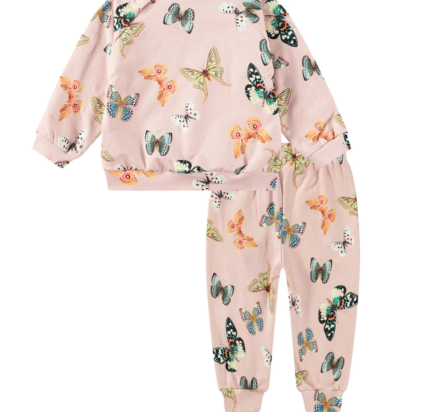 Disc Set - Blush Papillions