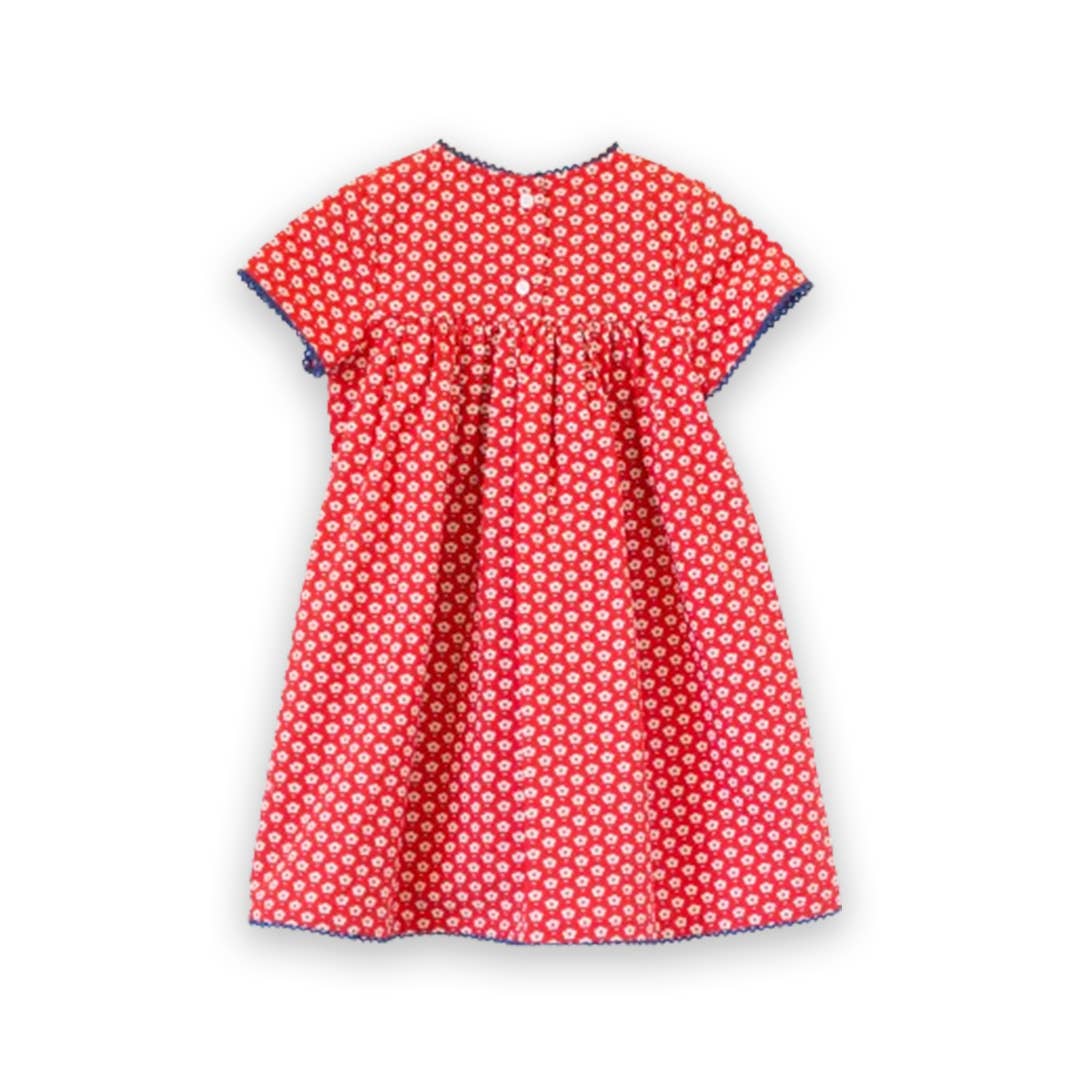 Amy dress with Lace trim | Red Button Floral