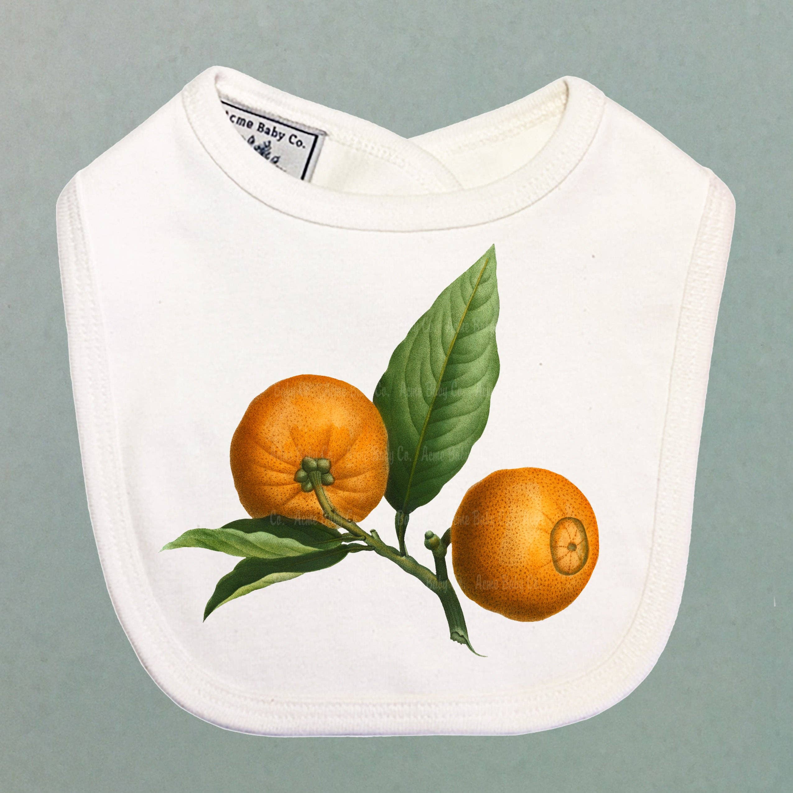 Clementines Organic Baby Bib