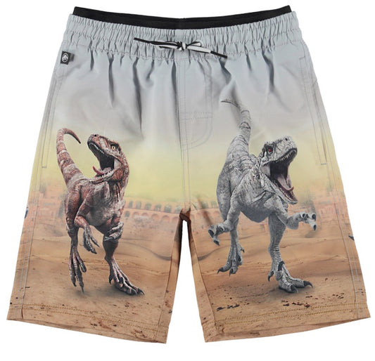 Neal Swim Trunk - Dinosaur