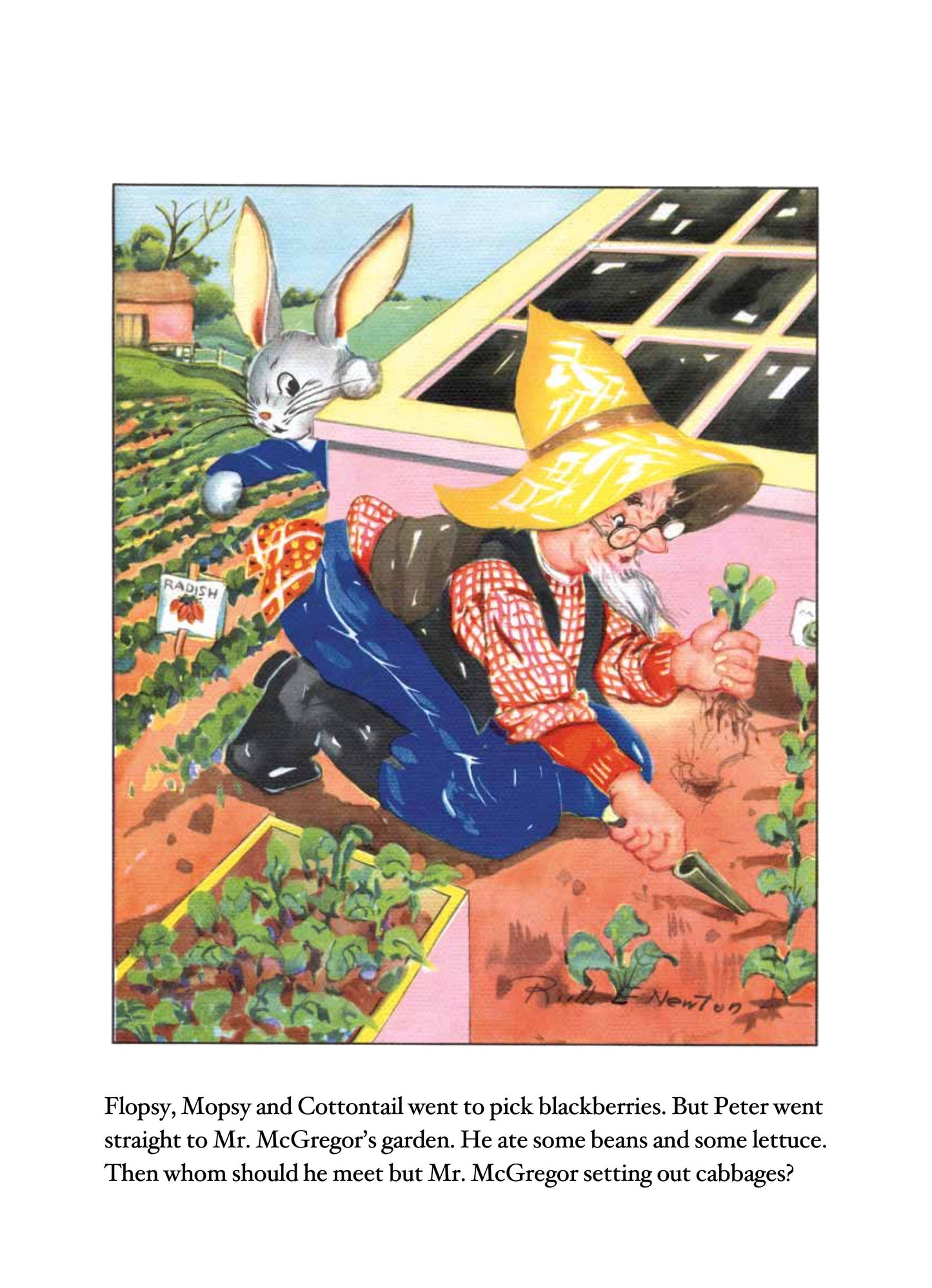 Peter Rabbit - Picture Book