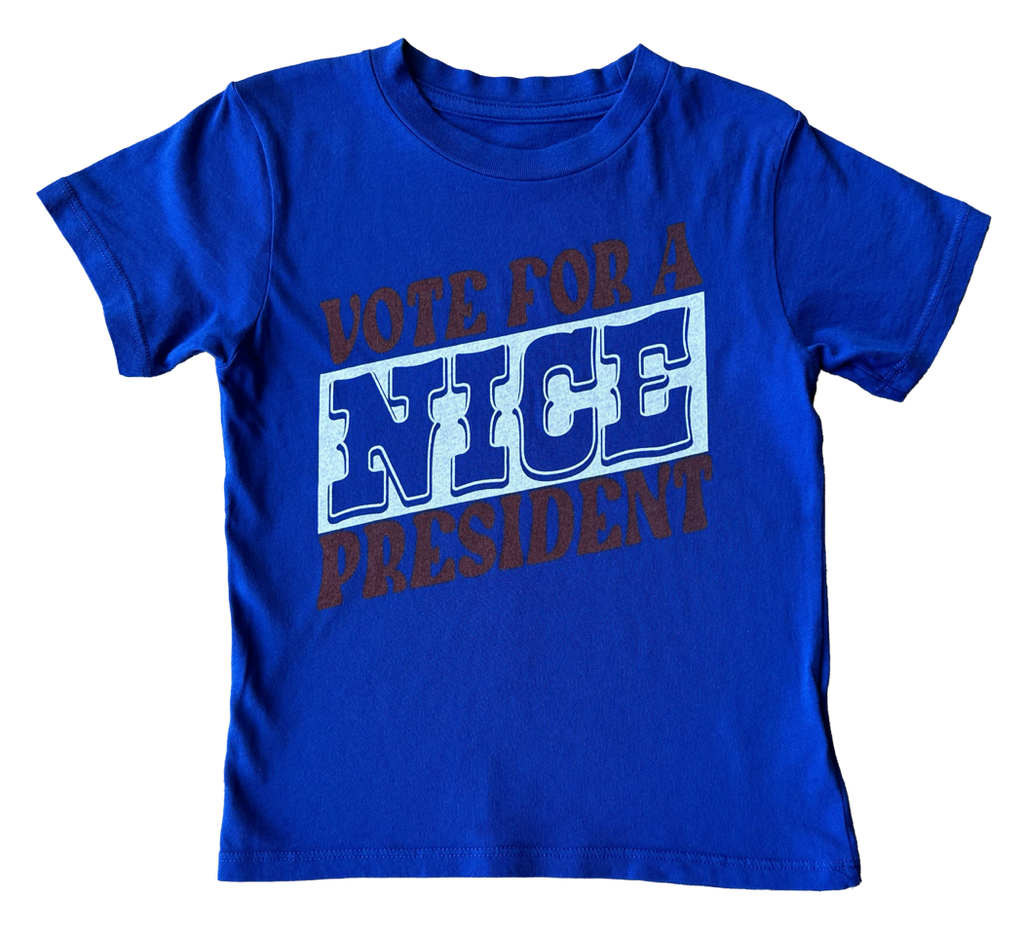 Vote For A Nice President T-Shirt