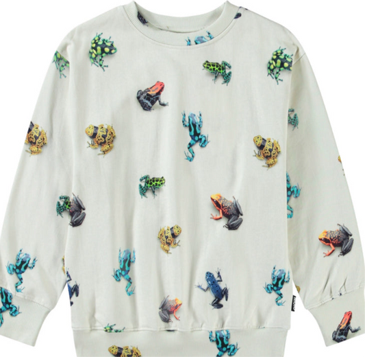 Mattis Sweatshirt - Vibrant Frogs