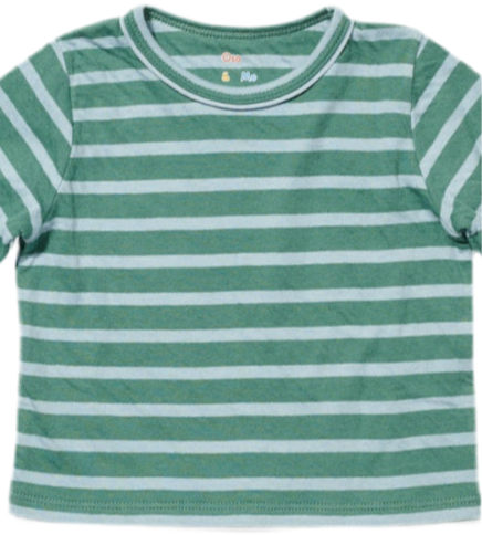 Edward Tee Shirt - Forest Stripe