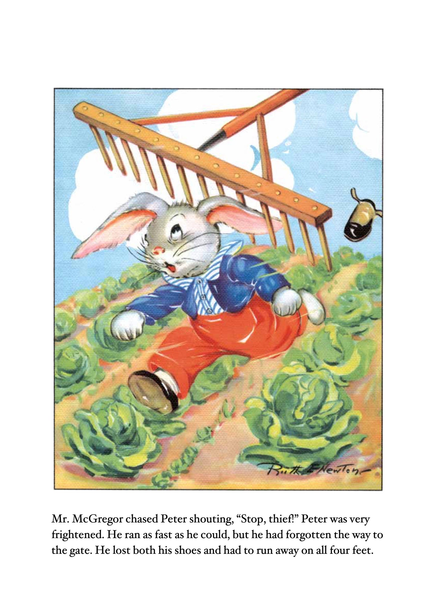 Peter Rabbit - Picture Book