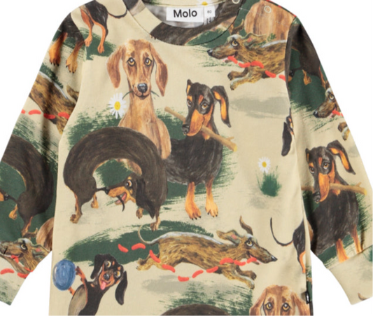 Shirt - Eloy - Painted Dogs