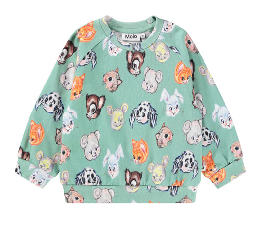 Disc Sweatshirt - Itty Bitty