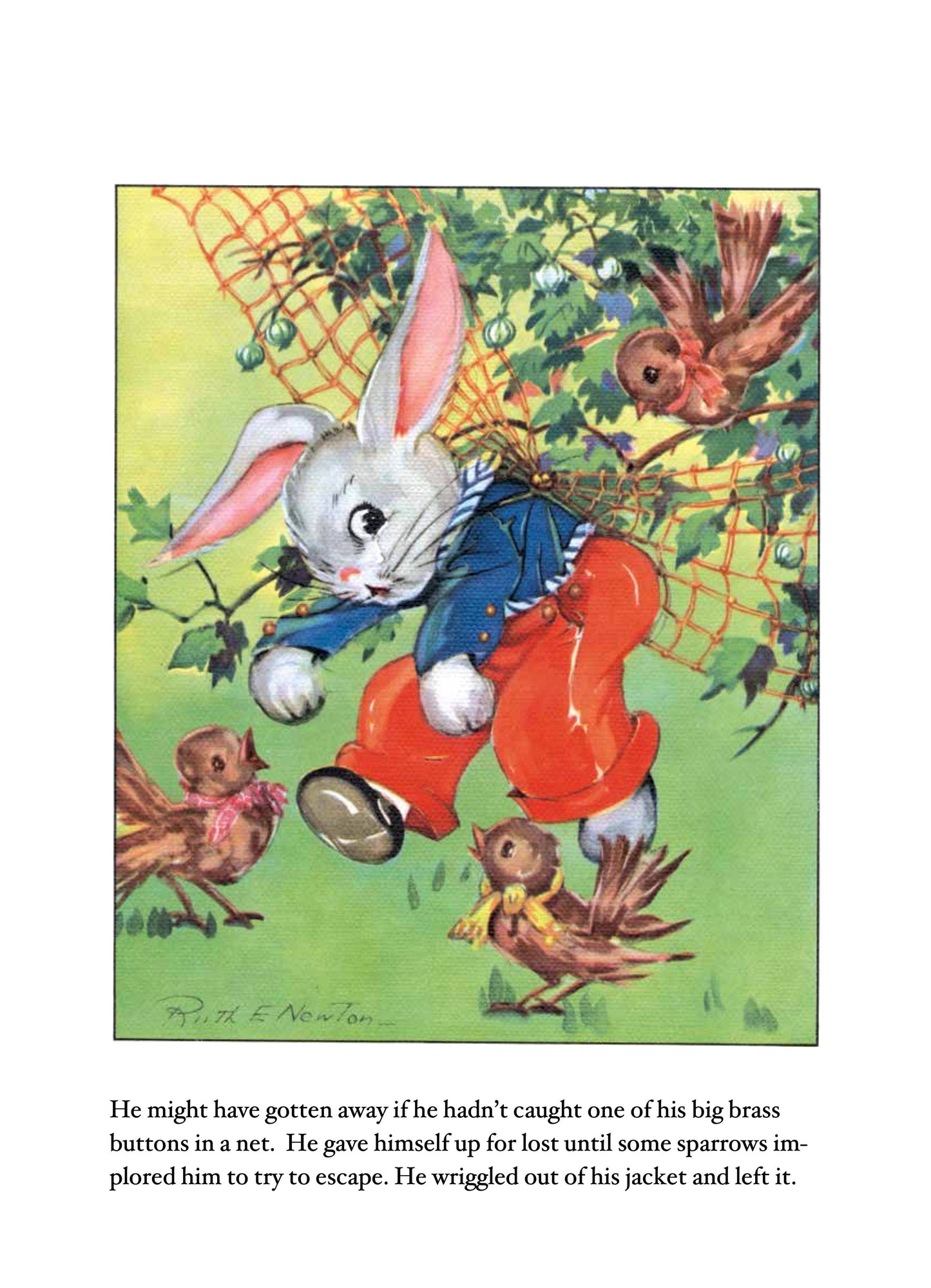 Peter Rabbit - Picture Book