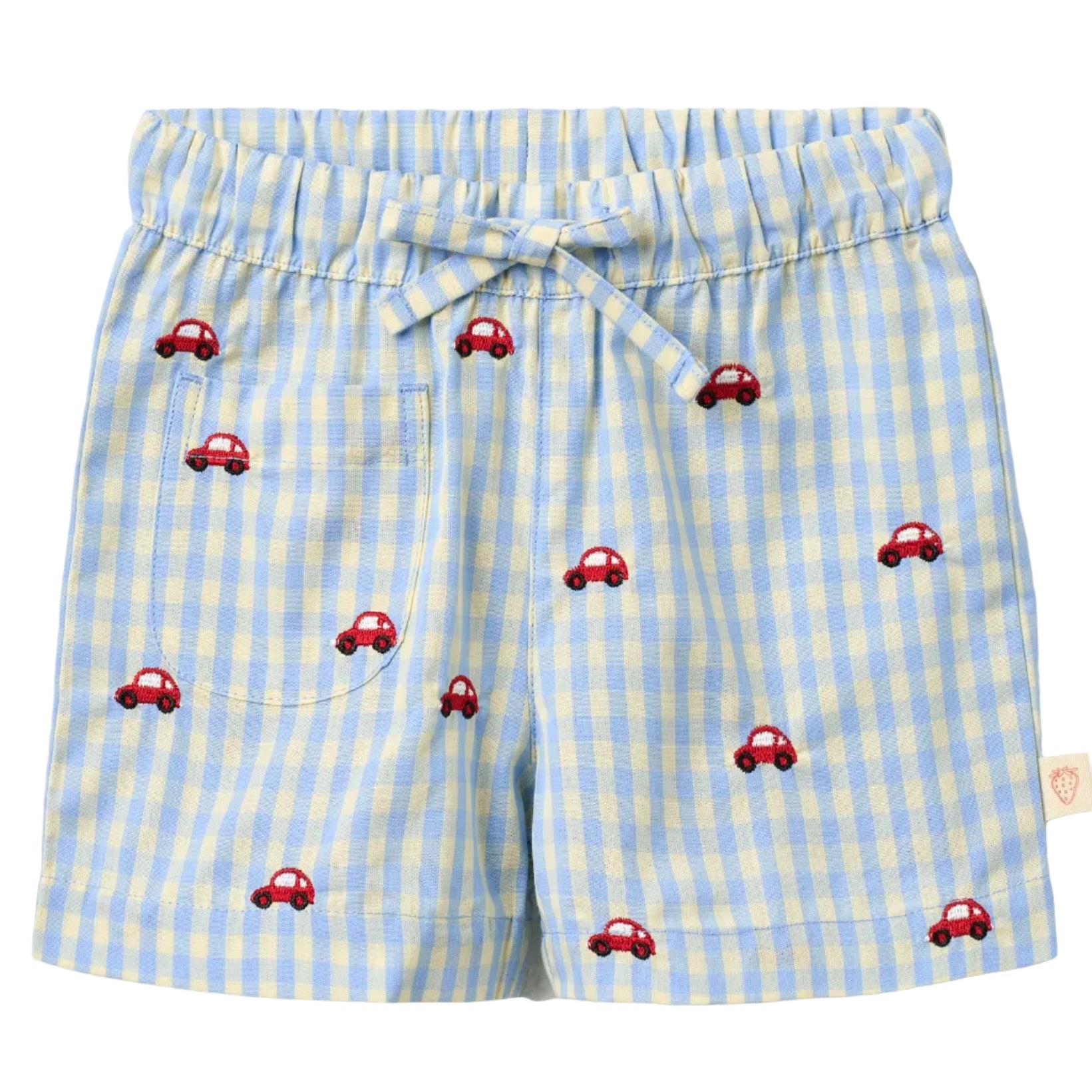 Albert Shorts - Blue Gingham