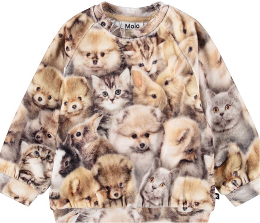 Disc Sweatshirt - Fuzzy Fluffy