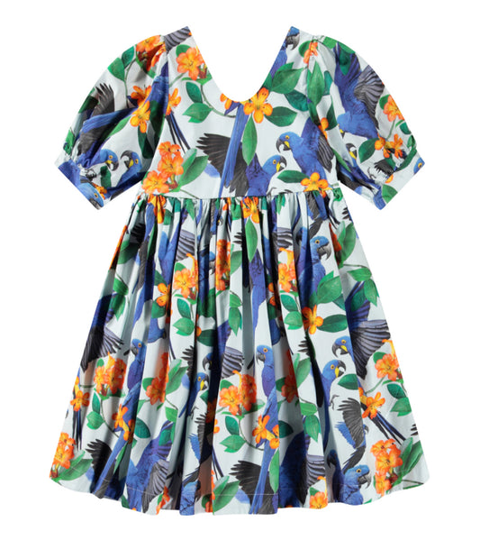 Camilo Dress - Macaws Blue