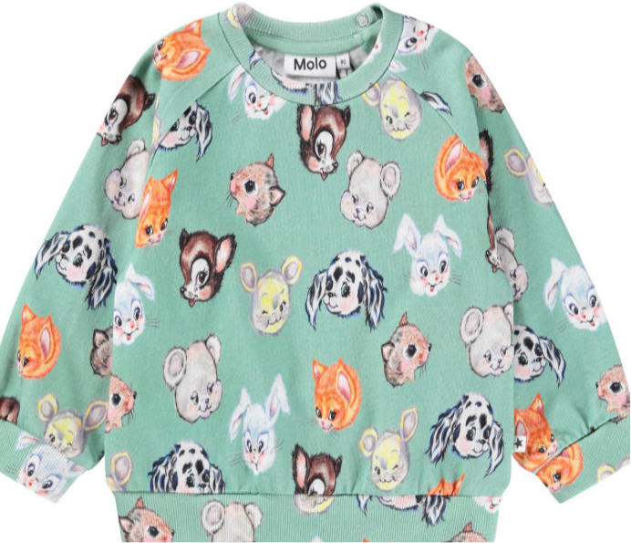 Disc Sweatshirt - Itty Bitty