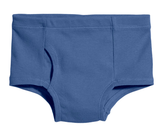 Boys Briefs - Smurf Blue