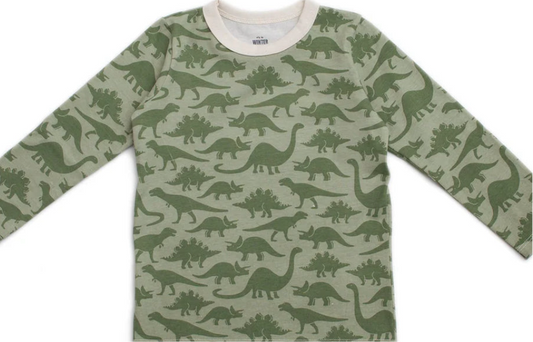 Long Sleeve Tee - Dinosaurs