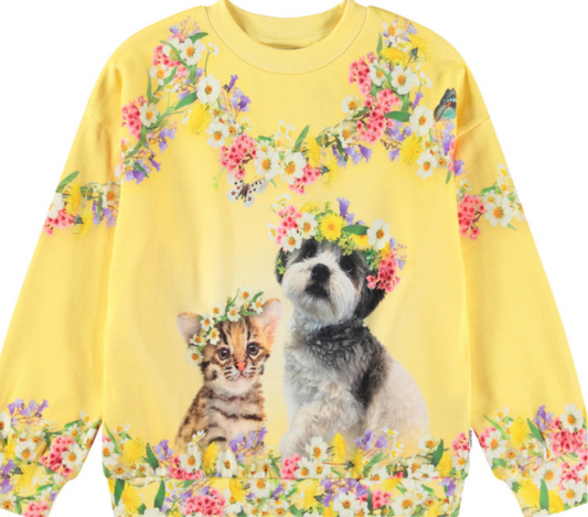 Maxi Sweatshirt - Sweet Maggie