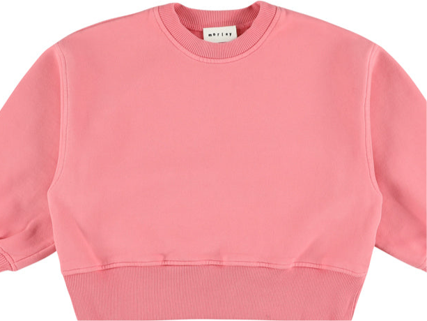 Ycon Sweatshirt - Rose