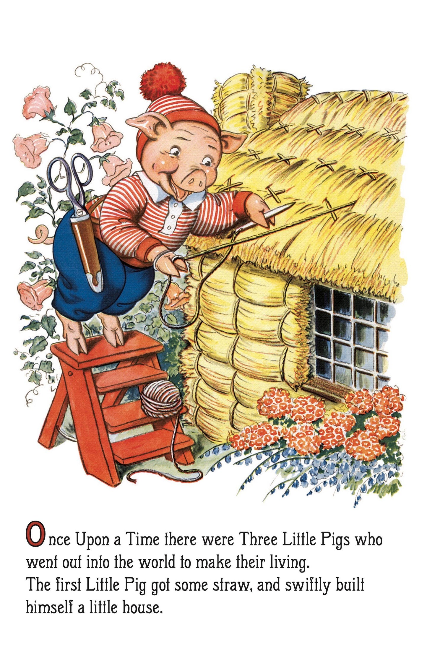 The Three Little Pigs - Board Book