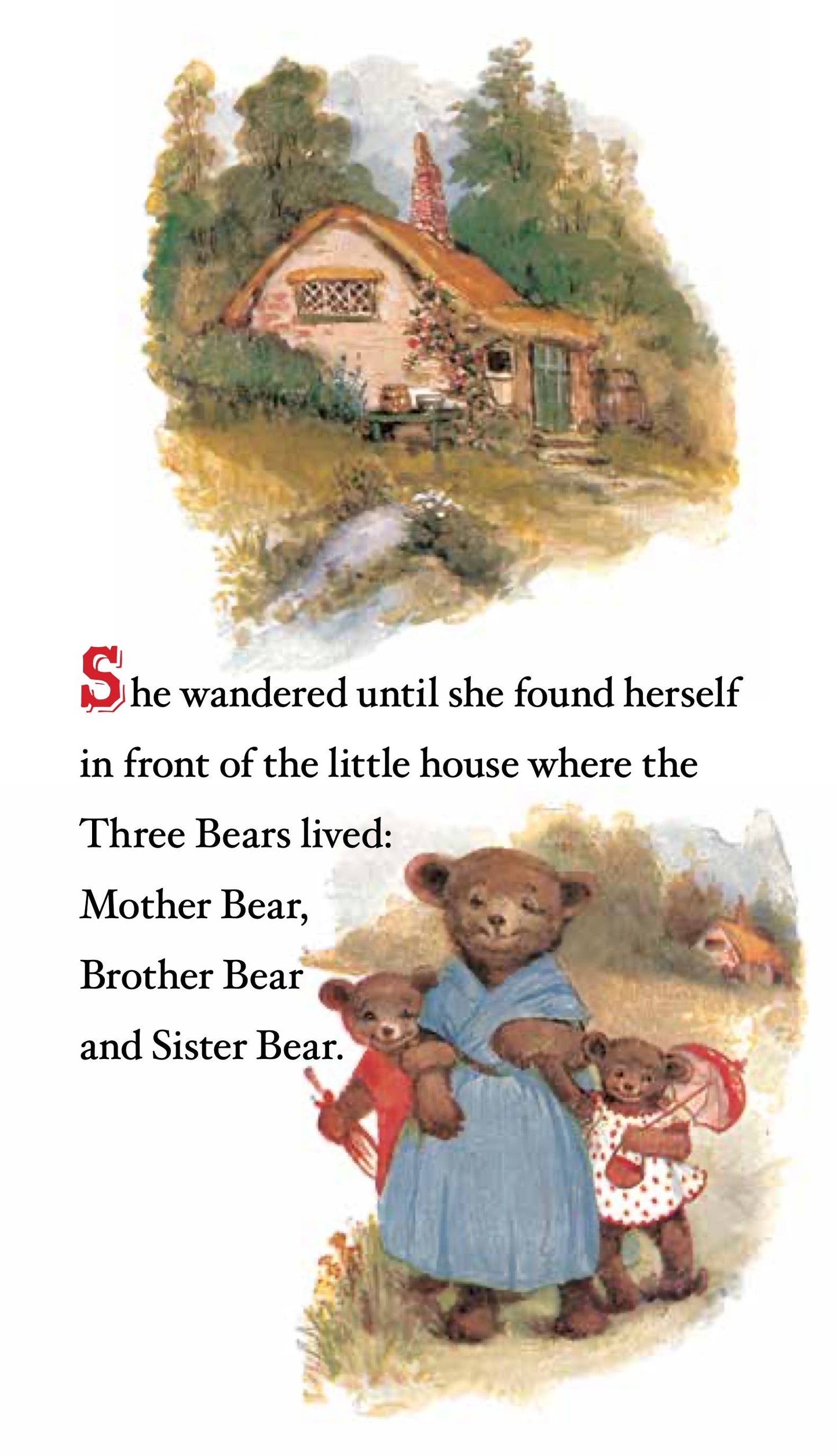 The Three Bears - Board Book